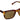 Airplane  Reading Sunglasses Bifocal