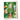 Green Jungle, Birthday Greeting Card