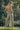 Rosa Jumpsuit