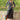 Long/Sleeve Wrap Dress