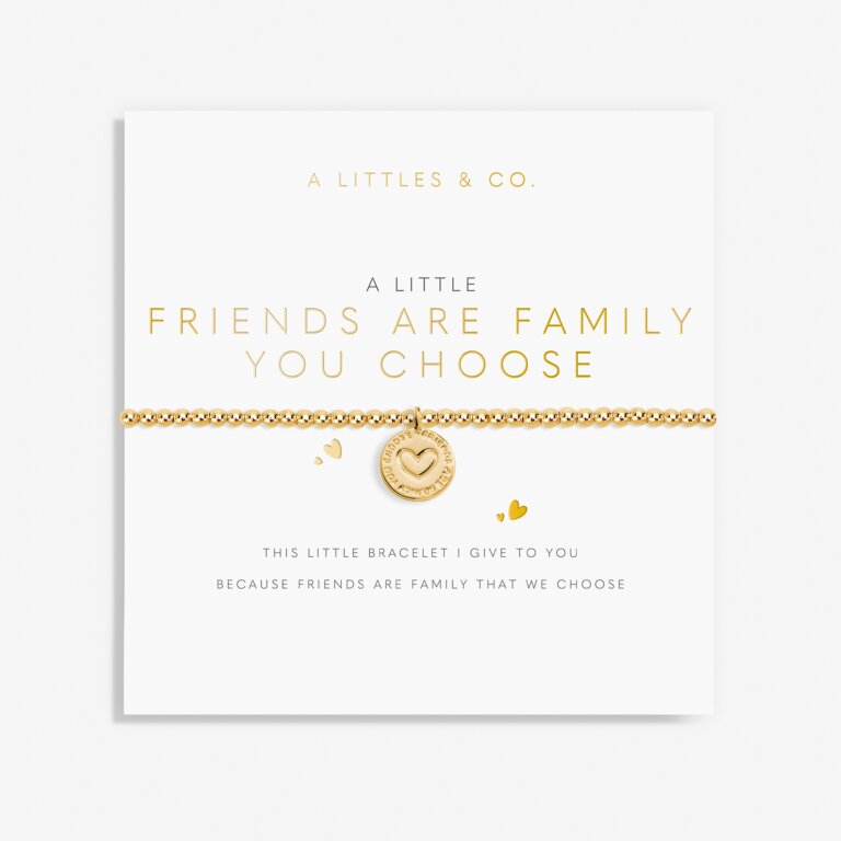 A Little 'Friends Are Family You Choose' Bracelet